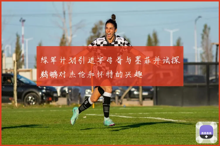 绿军计划引进字母哥与墨菲并试探鹈鹕对杰伦和怀特的兴趣
